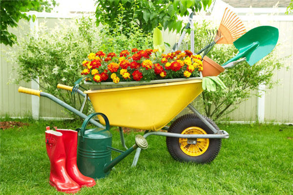 園林(lín)工(gōng)具及用(yòng)途分(fēn)類